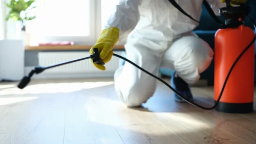 Isinfection of Premises from Rodents